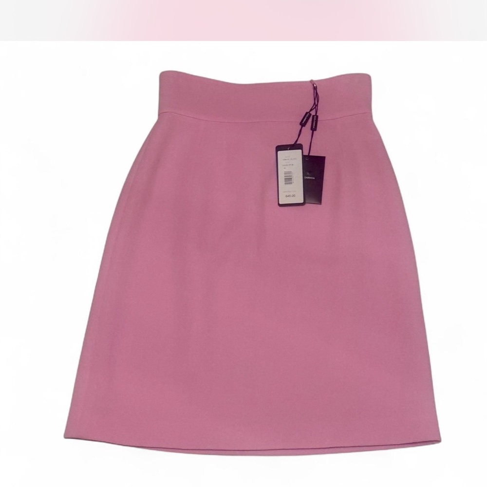 Elegant Pink Women's Skirt